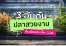 3 อันดับ ปลาสวยงามที่คนไทยนิยมเลี้ยง 2026